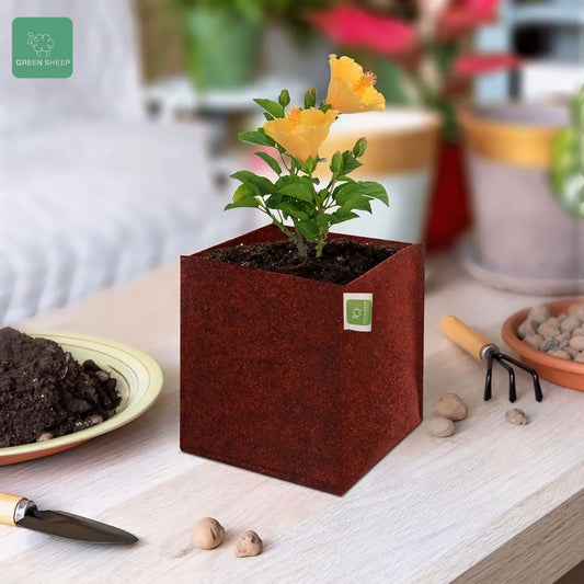 "Maroon Geo Fabric Plant Grow Bags: Stylish and Sustainable Gardening Solutions"